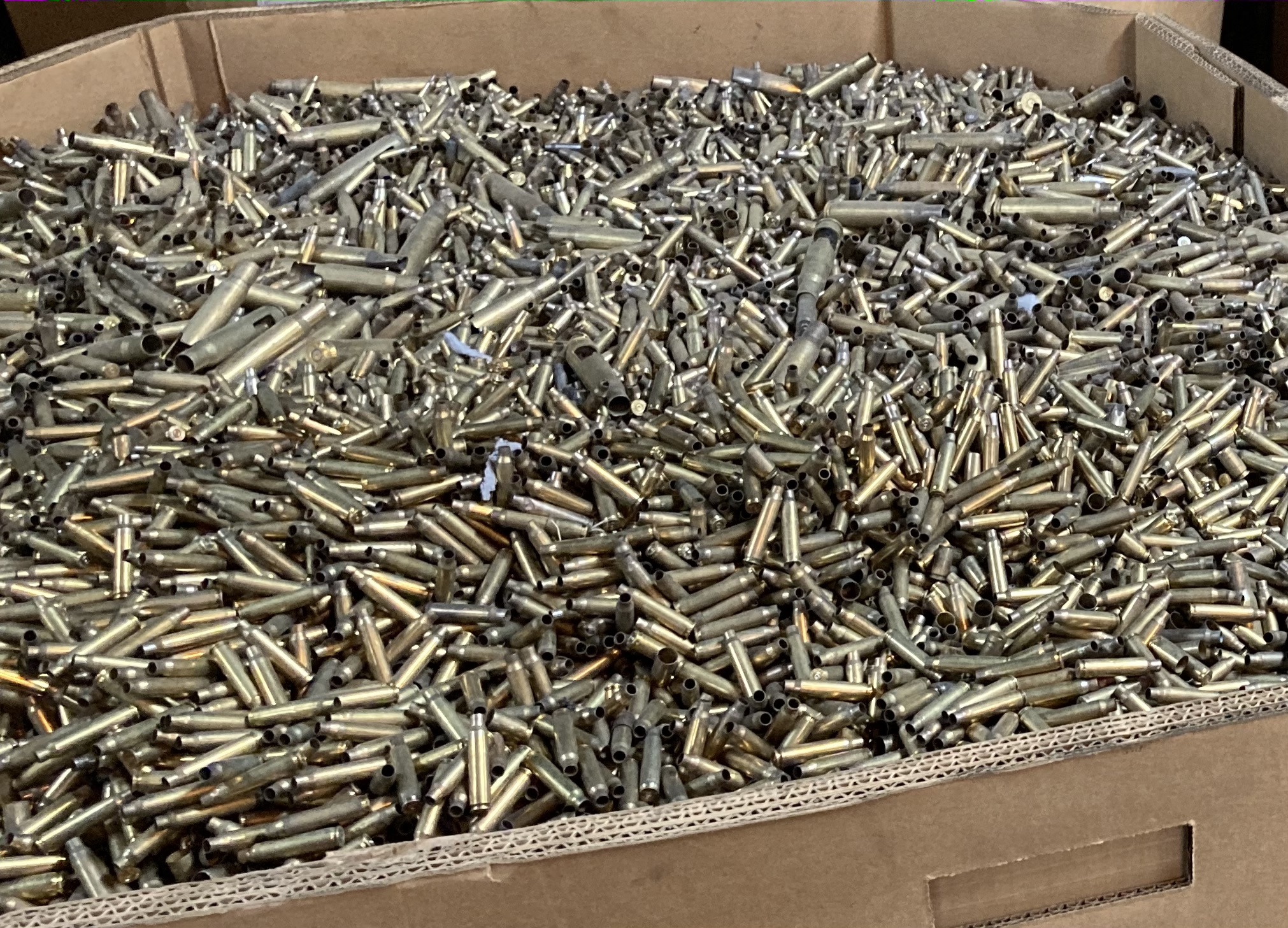 5.56mm/223 Rem – Range Pickup, Raw Brass – Sleeping Dog Ammo