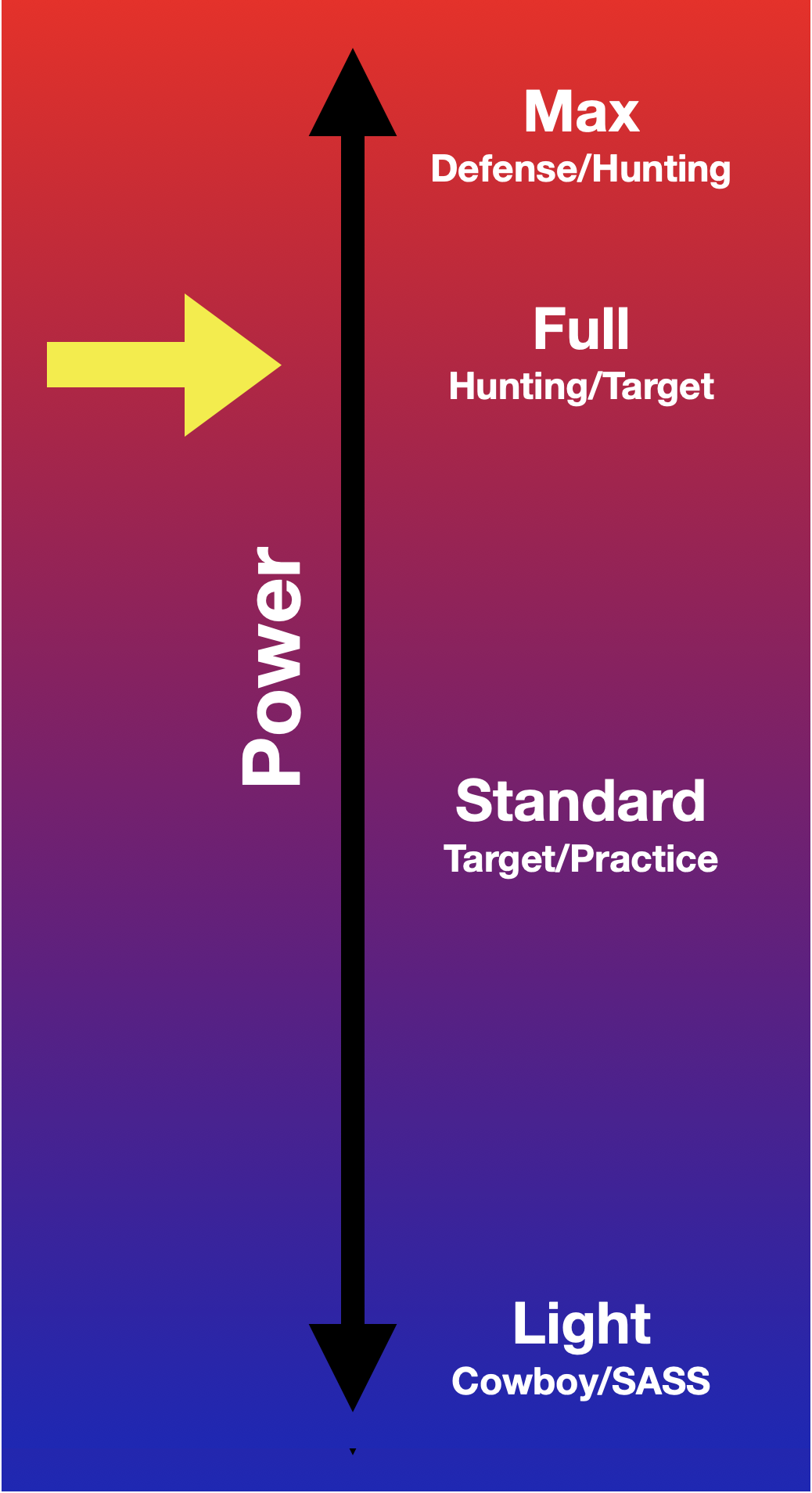 SDA 357 Magnum (Full), 125 gr RNFP, 50 cartridges, USA/Vet Made